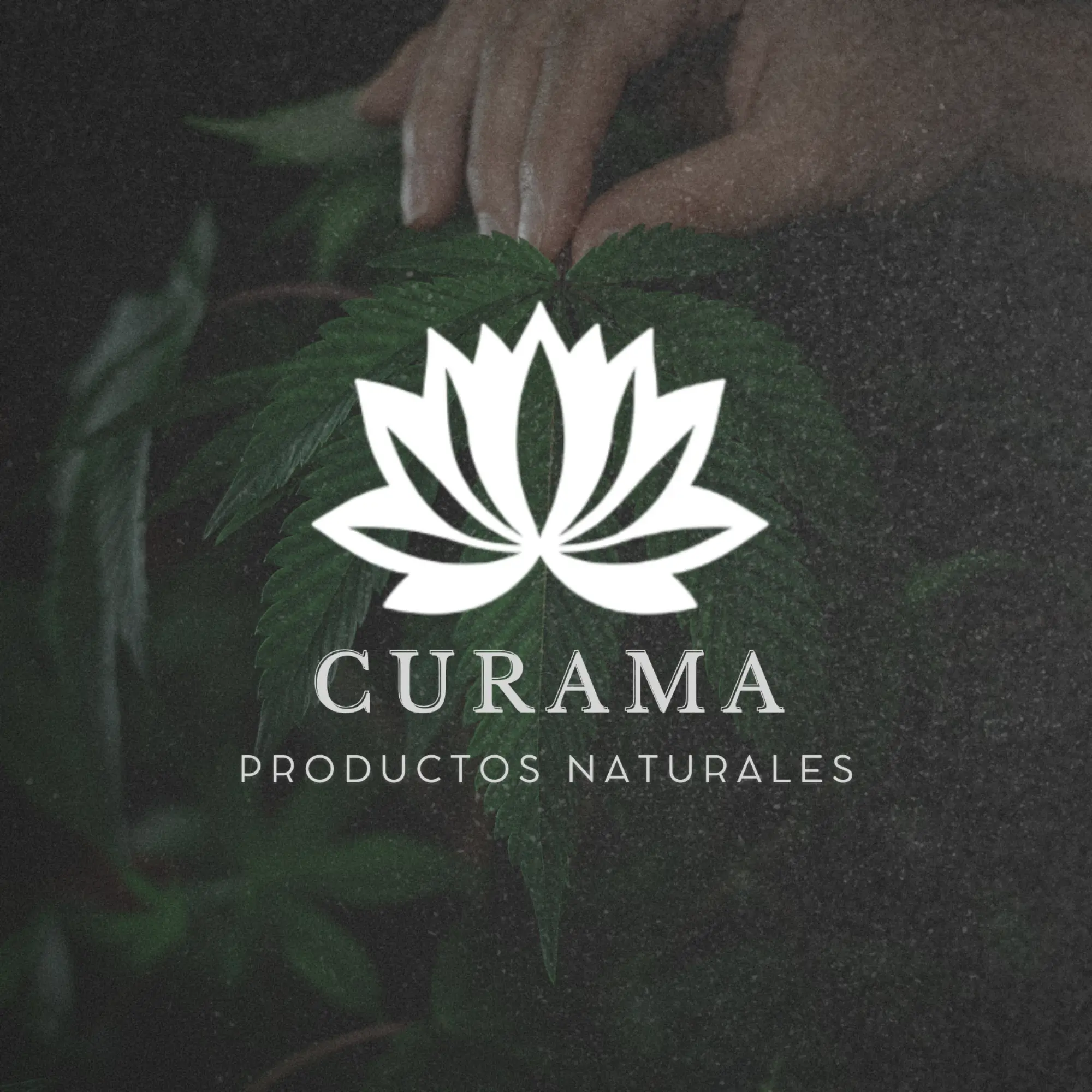 Curama Productos Naturales - Cremas y Aceite CBD Uruguay